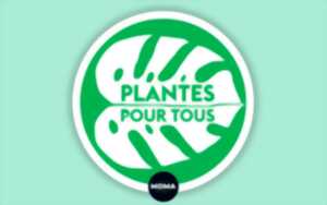 Plantes pour tous au Moma Kitchen