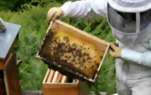 photo Visite à la Ferme : Abeilles et délices