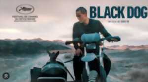 Cinéma Arudy : Black dog VOSTFR