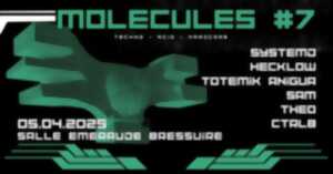 photo Concert - Molécules