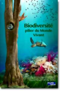 photo Exposition Biodiversité, pilier du monde vivant