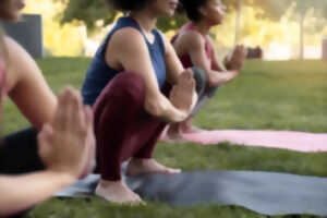 photo Stage de Yoga 