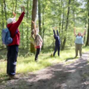 photo Reconnectez-vous à la nature avec un Bain de forêt !