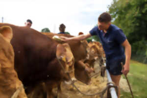 photo Comice agricole et fête médiévale