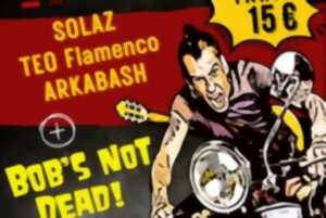 photo Bob’s Not Dead + Arkabash + Téo Flamenco + Solaz - Limoges