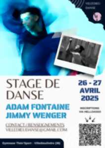 photo Stage de Danse