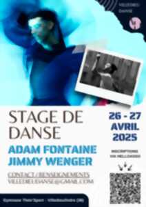 photo Stage de Danse