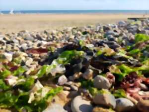 photo Sur la plage abandonnés...