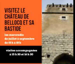 photo Visite accompagnée du Château et de sa bastide