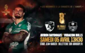 Aviron Bayonnais vs Vodacom Bulls : 8e de finale EPCR Challenge Cup