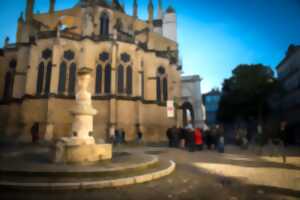 Visita guiada : Casco viejo