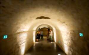 Visite guidée : Au coeur des Casemates parcours Petit Bayonne