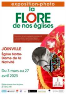 photo EXPOSITION PHOTO : LA FLORE DANS NOS EGLISES