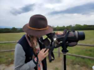 Observation des oiseaux en migration, avifaune et flore locale