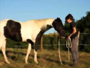 Été actif - tir à l'arc à cheval