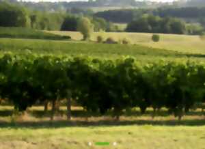 Portes ouvertes au Château du Bois Clair