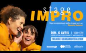 photo Stage d'impro