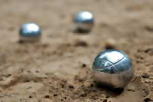 photo Concours de pétanque