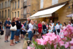 photo Visites découverte de la Cité Médiévale