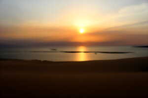 photo Balade commentée de la Dune du Pilat au coucher du soleil