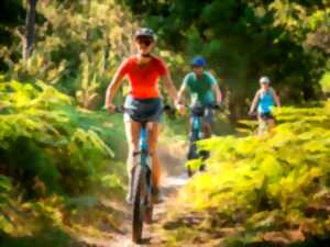 photo Balade trottinette tout terrain - évasion en forêt