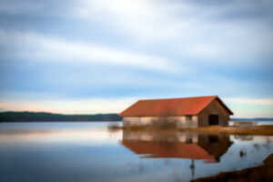 photo Expositions des artistes du born