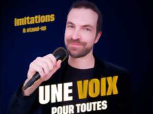 One-man show (imitations) - le grand meaulnes