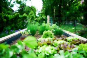 photo Journée du jardin