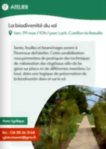 photo La Biodiversité du sol