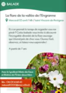 La Flore de la vallée de l'Engranne