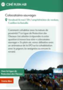 Colocataires sauvages