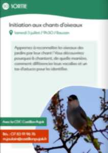 photo Initiation aux chants d'oiseaux