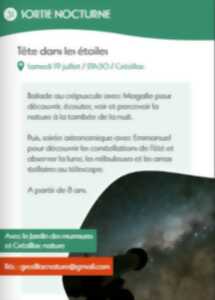 photo Tête dans les étoiles