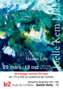 photo Ocean Life - Vernissage