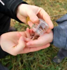 Printemps des transitions : atelier création d'un jardin médicinal