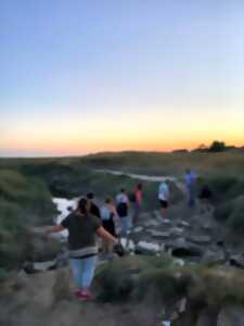 photo La Baie d'Authie, l'histoire au naturel : visite guidée