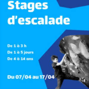 Stage d'escalade