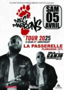 Concert des Neg’ Marrons