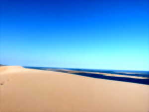 Visite guidée de la Dune du Pilat au Banc d'Arguin