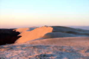 Visite guidée de la Dune du Pilat