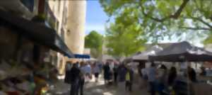 photo MARCHÉ DE SAINT MARTIN DE LONDRES 2