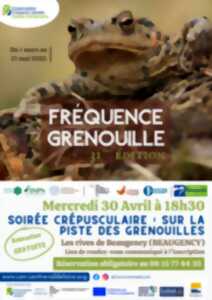 Soirée crépusculaire : sur la piste des grenouilles