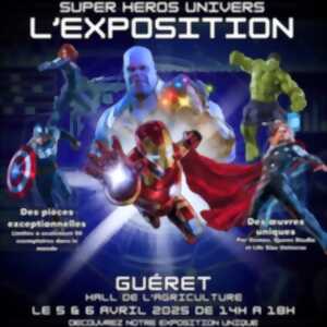 photo Super Héros Univers l'Exposition