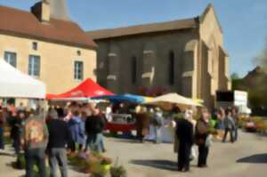 Foire aux plants