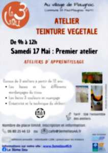 Atelier teinture végétale au 3ème Lieu