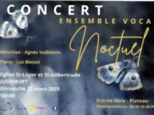 Concert de l'ensemble vocal noctuel