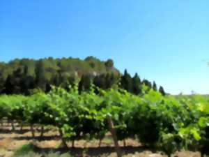 photo BALADES VIGNERONNES - CHÂTEAU ROUQUETTE