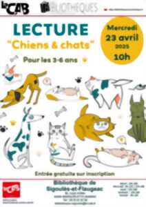 photo Lectures : Chiens et chats