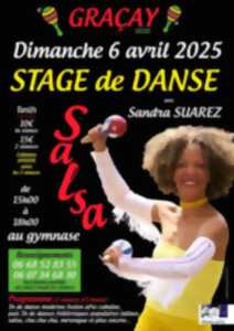 photo Stage de danse