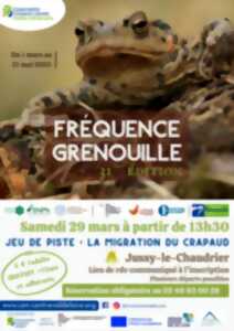 31ème Fréquence Grenouille